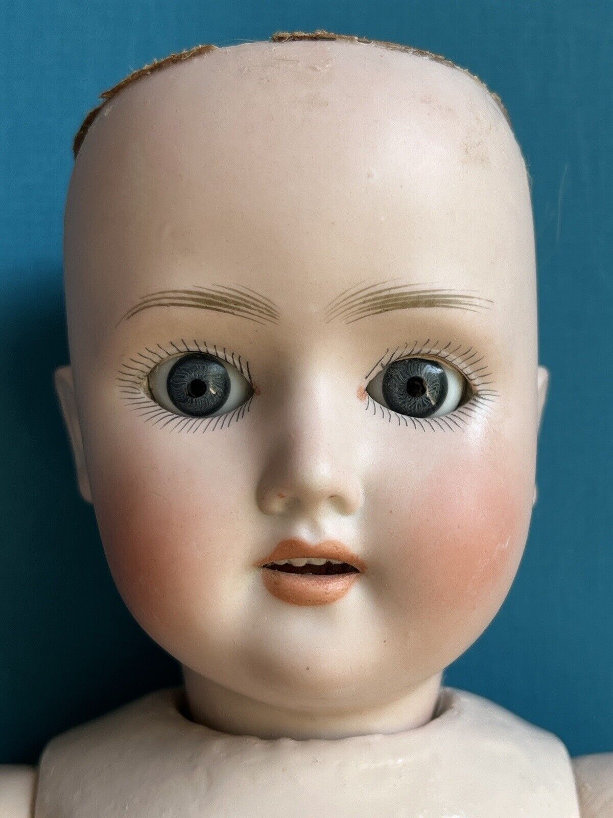Antique German 16.5” Schoenau & Hoffmeister 1909 Bisque Head Doll
