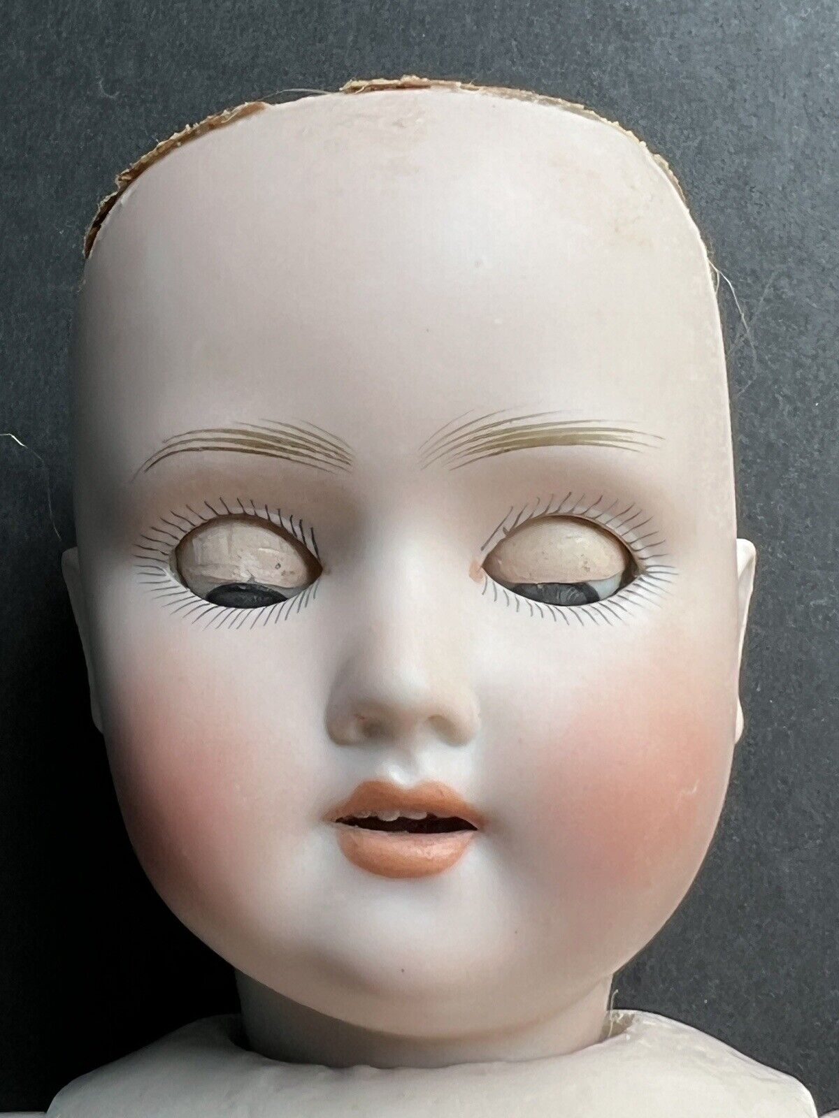 Antique German 16.5” Schoenau & Hoffmeister 1909 Bisque Head Doll